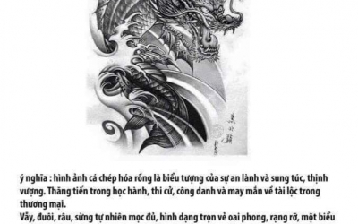 Ý nghĩa hình xăm Cá Chép Hóa Rồng