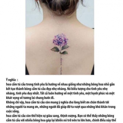 Ý Nghĩa Hình Xăm Hoa Cẩm Tú Cầu | Xăm Hình Đà Nẵng
